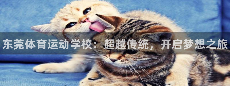 公海赌赌船官网下载招商电话：东莞体育运动学校：超越传