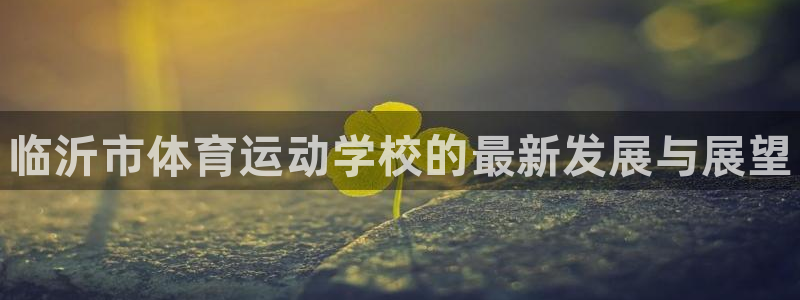 公海赌赌船官方正版app代理：临沂市体育运动学校的最新发展与