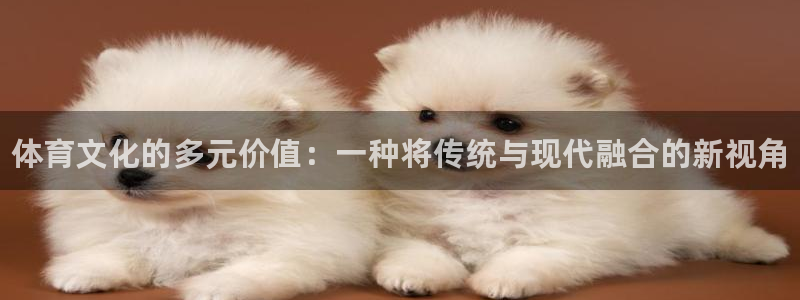 公海赌赌船官网下载招商电话地址：体育文化的多元价值：