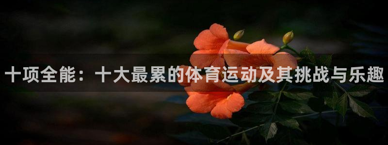 公海赌赌船官方正版app集团官网首页：十项全能：十大最累的体