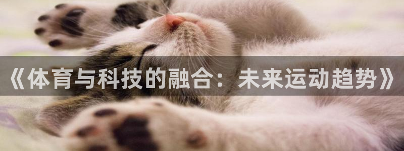 公海赌赌船官网下载招商电话号码查询是多少：《体育与科技的融合
