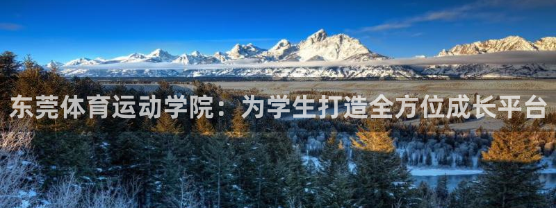 公海赌赌船官方正版app集团简介：东莞体育运动学院：