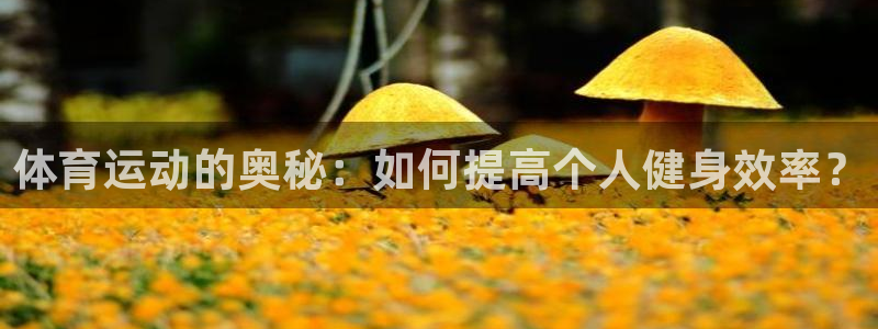 公海赌赌船官网下载招商电话号码是多少啊：体育运动的奥秘：如何
