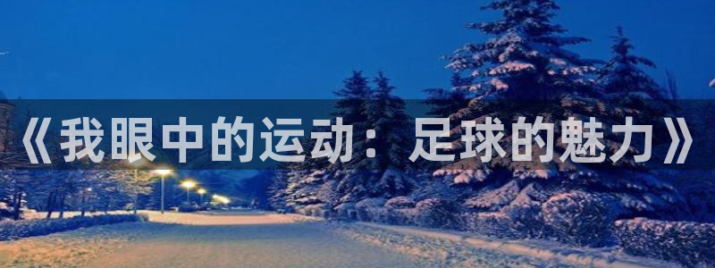 公海赌赌船官网下载招商电话地址查询：《我眼中的运动：足球的魅