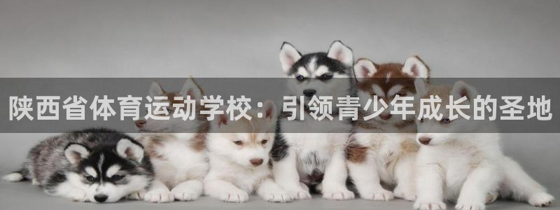 公海赌赌船官方正版app娱乐网站：陕西省体育运动学校