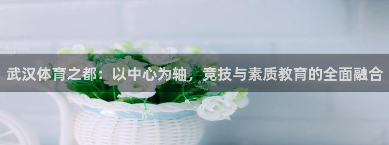 公海赌赌船官网下载招商电话：武汉体育之都：以中心为轴