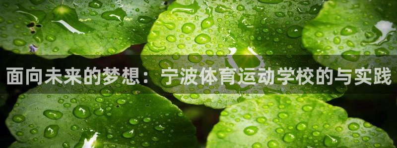 公海赌赌船官方正版app娱乐是那个系列的台子：面向未