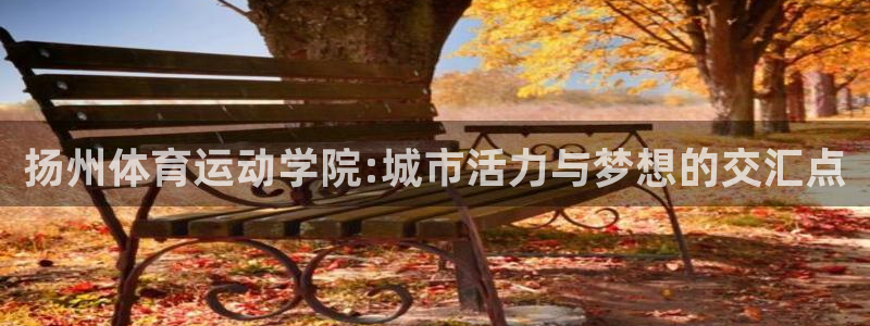 公海赌赌船官网下载平台APP：扬州体育运动学院:城市