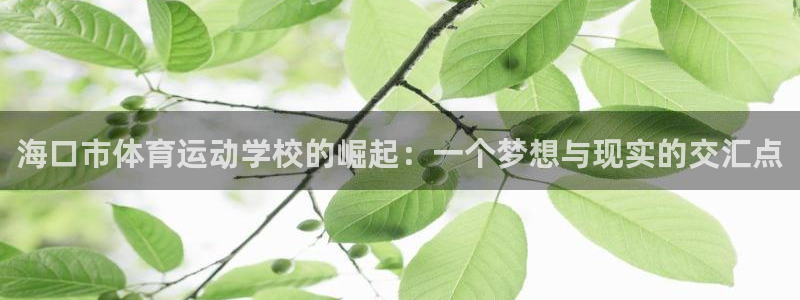 公海赌赌船官方正版app娱乐是那个系列的台子：海口市