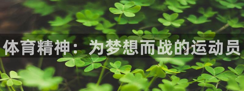 公海赌赌船官网下载招商电话号码是多少啊：体育精神：为