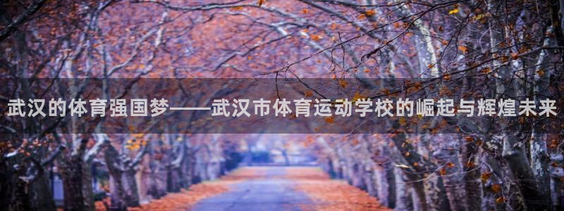 公海赌赌船官方正版app集团E.ON：武汉的体育强国