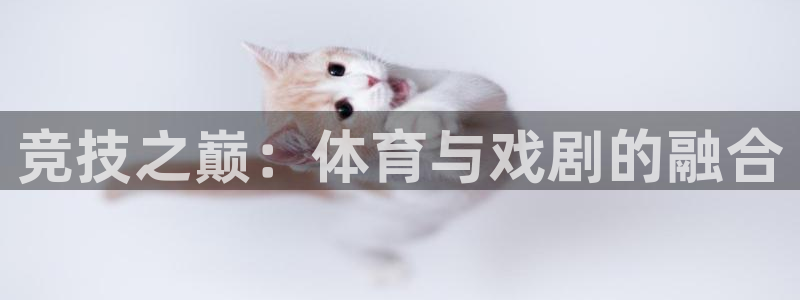 公海赌赌船官网下载招商电话号码：竞技之巅：体育与戏剧