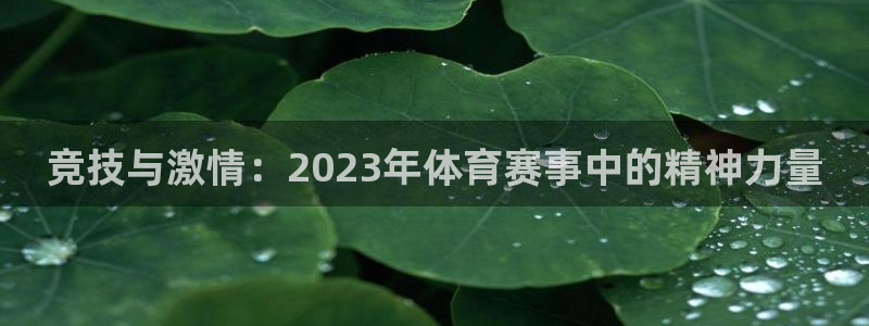 海南公海赌赌船官网下载发展怎么样：竞技与激情：202