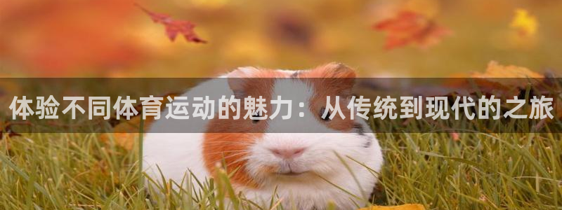 公海赌赌船官网下载：体验不同体育运动的魅力：从传统到