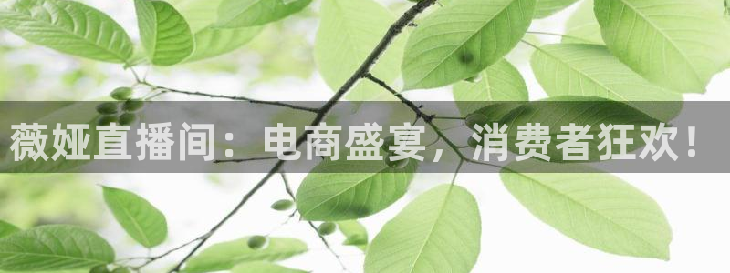178篮球直播 足球直播：薇娅直播间：电商盛宴，消费者狂欢！