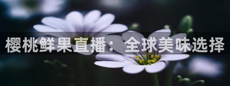 nba178在线直播：樱桃鲜果直播：全球美味选择