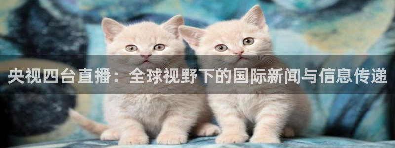 178免费看球：央视四台直播：全球视野下的国际新闻与信息传递