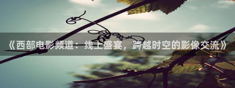足球直播在线直播观看免费178：《西部电影频道：线上盛宴，跨越时空的影像交流》