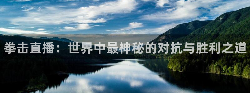 178体育直播比赛在线观看：拳击直播：世界中最神秘的对抗与胜利之道