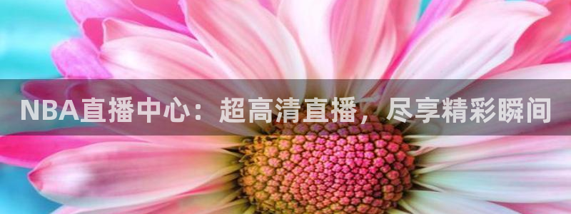 178足球体育直播平台：NBA直播中心：超高清直播，尽享精彩瞬间