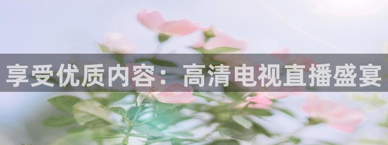 nba178在线直播免费观看直播：享受优质内容：高清电视直播盛宴