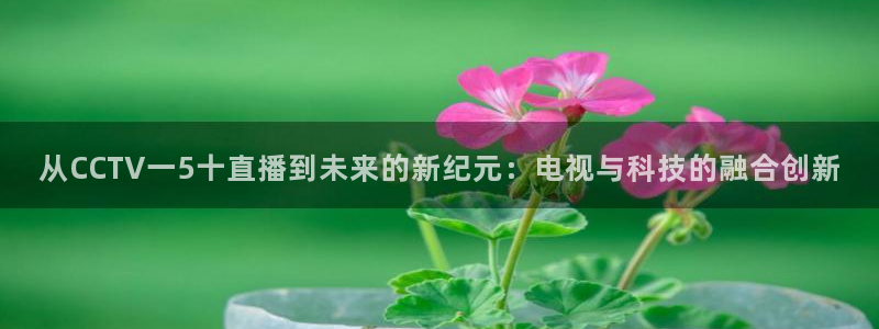 178足球赛事直播：从CCTV一5十直播到未来的新纪元：电视与科技的融合创新