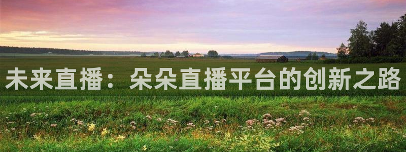 足球直播178直播：未来直播：朵朵直播平台的创新之路