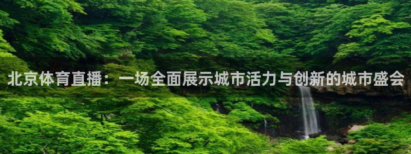 178体育直播吧：北京体育直播：一场全面展示城市活力与创新的城市盛会