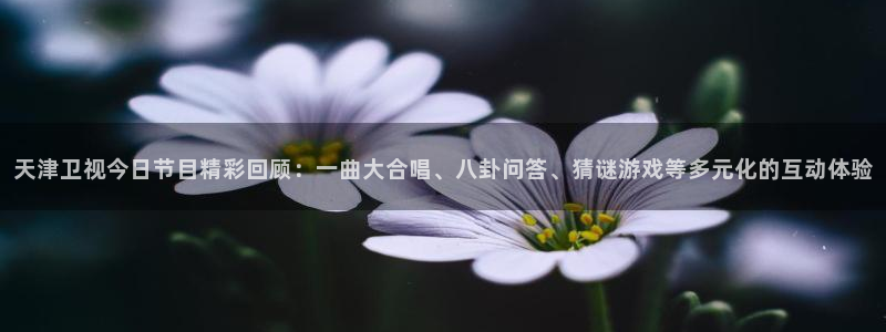 178体育直播观看在线：天津卫视今日节目精彩回顾：一曲大合唱、八卦问答、猜谜游戏等多元化的互动体验